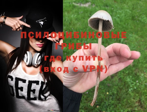 крисы Абинск