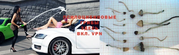 крисы Абинск